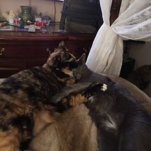 Meet your Posher, Lena